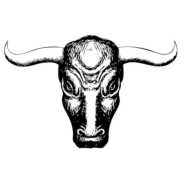 Toro sobre fondo blanco — Vector de stock