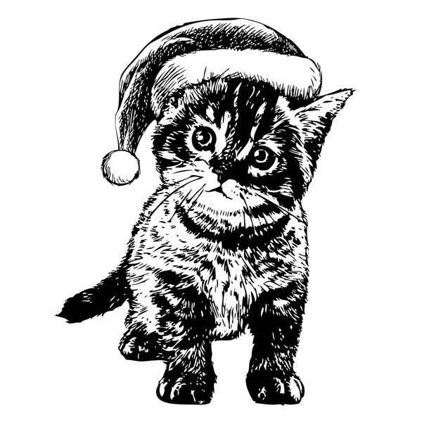 Petit chat, chaton avec chapeau de Père Noël — Image vectorielle