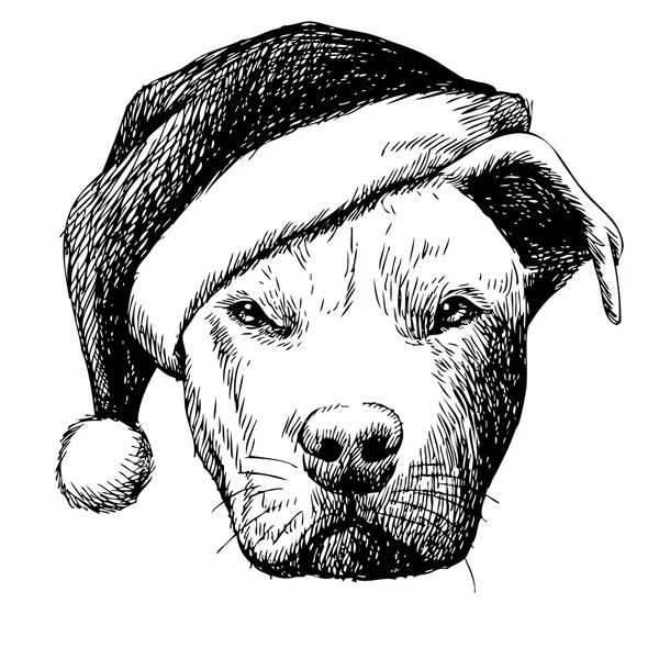 Pitbull chien avec chapeau de Père Noël — Image vectorielle