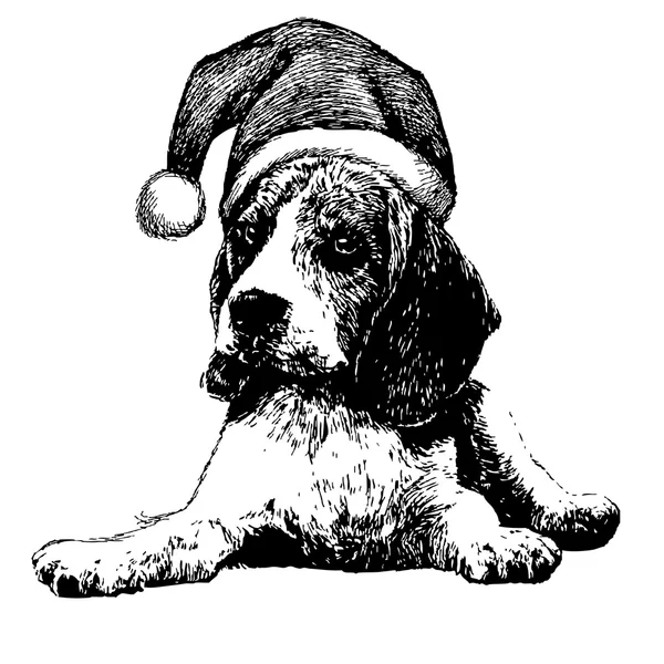 Cane Beagle con cappello Babbo Natale — Vettoriale Stock