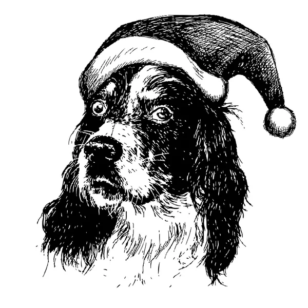 English setter dog with christmas santa hat — Stock Vector