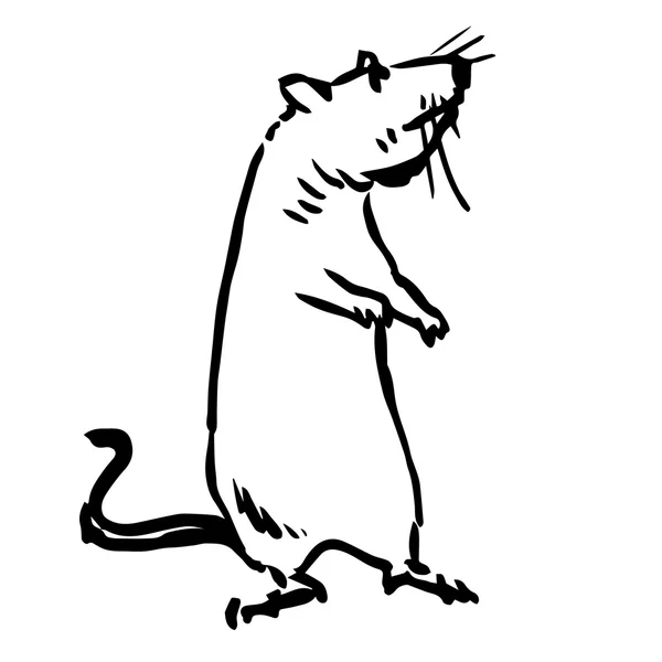 Freihandskizze Illustration von Ratte, Maus — Stockvektor