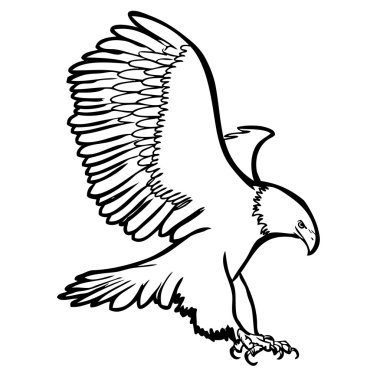 Kartal, Şahin kuş serbest kroki çizimi