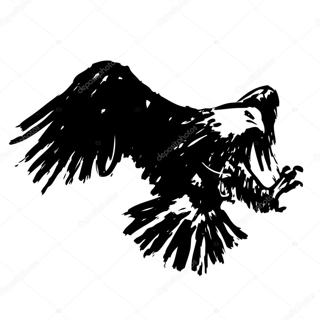 freehand sketch illustration of eagle, hawk bird