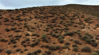 Dağlar sizi rahatlamanız için çağırıyor, majesteleri. 