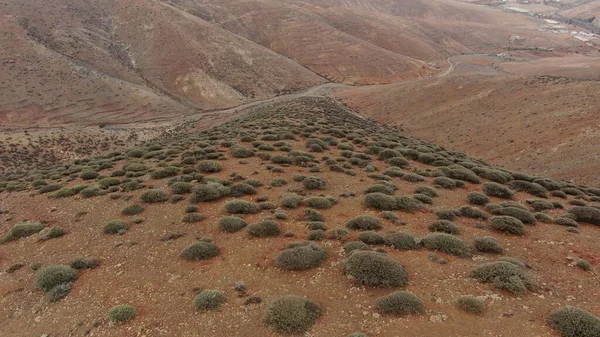Dağlar sizi rahatlamanız için çağırıyor, majesteleri. 
