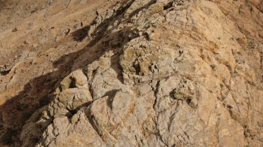 Dağlar sizi rahatlamanız için çağırıyor, majesteleri. 