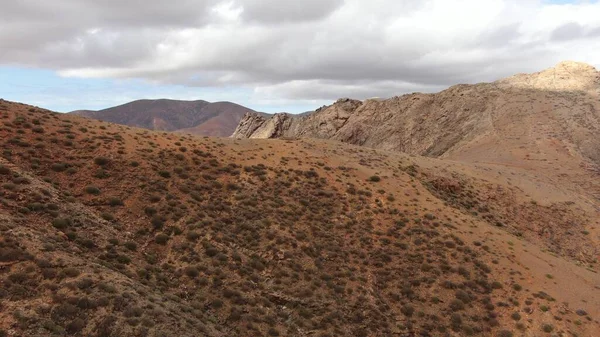 Dağlar sizi rahatlamanız için çağırıyor, majesteleri. 