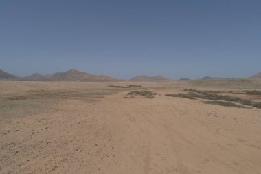 Yalnız bitki örtüsüyle çöl ovası