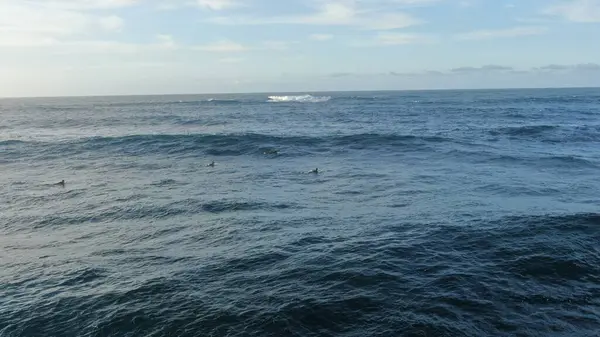 Surf Tengeri Forrása Egészséges Jólét — Stock Fotó