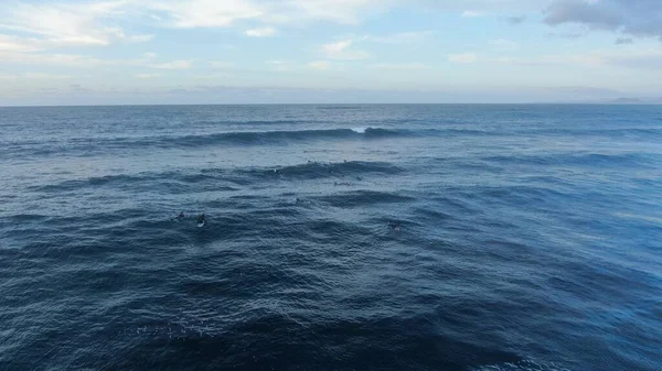 Surf Tengeri Forrása Egészséges Jólét — Stock Fotó