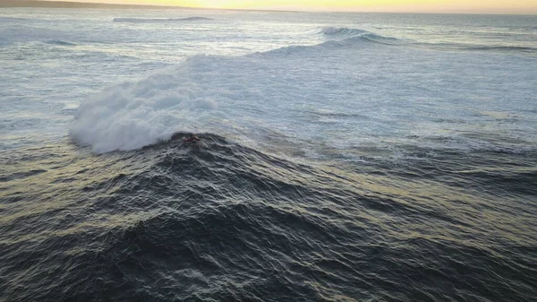 Maravillas Naturaleza Salvaje Desértica —  Fotos de Stock