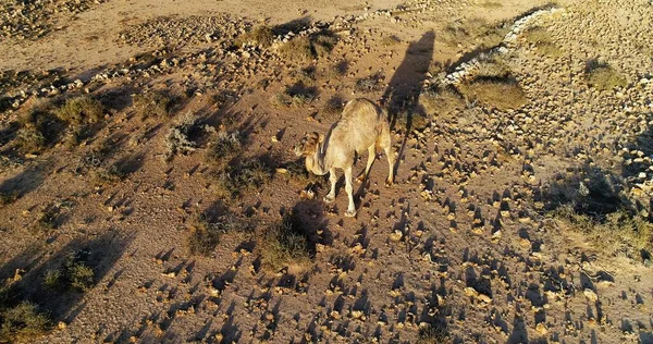 山や魅力的な風景があなたを別の世界へと — ストック写真