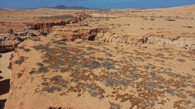 Hindistan çölü ufku rüya görmeni sağlıyor.
