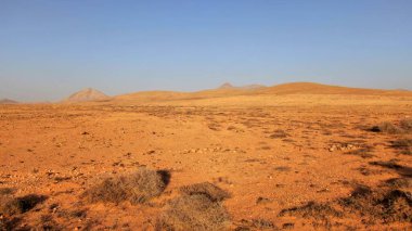 Hindistan çölü ufku rüya görmeni sağlıyor.