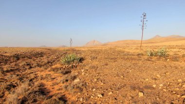 Hindistan çölü ufku rüya görmeni sağlıyor.