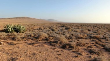 Hindistan çölü ufku rüya görmeni sağlıyor.