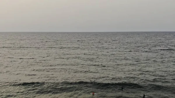 바다와그 — 스톡 사진