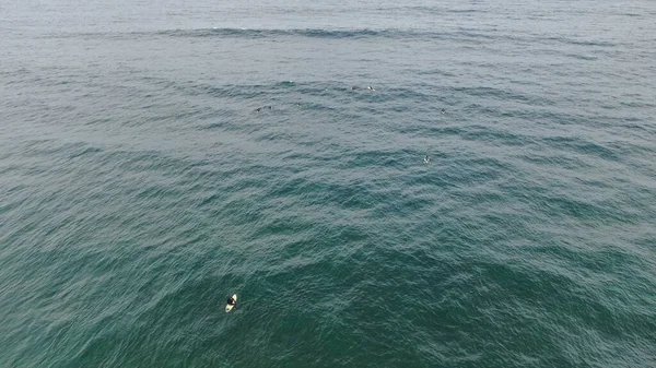 Moře Ukazuje Svou Sílu — Stock fotografie
