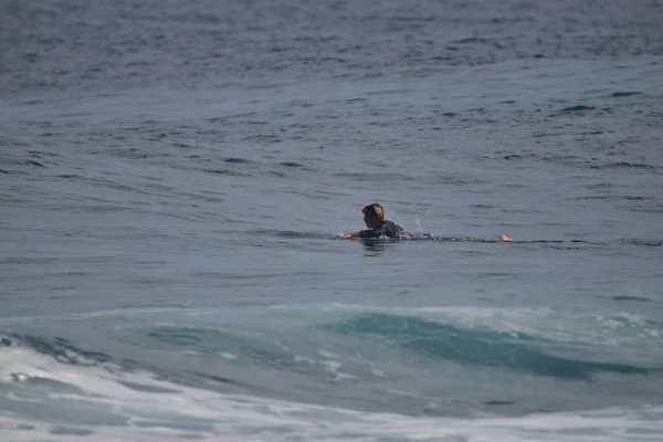 Surfistas Desfrutam Mar — Fotografia de Stock