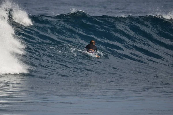 Peselancar Menikmati Laut — Stok Foto