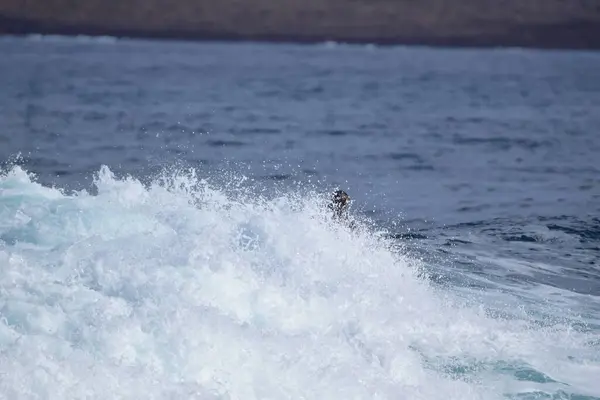 Surfare Njuter Havet — Stockfoto