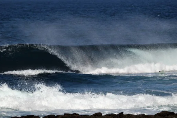 Surfer Dans Toute Splendeur — Photo