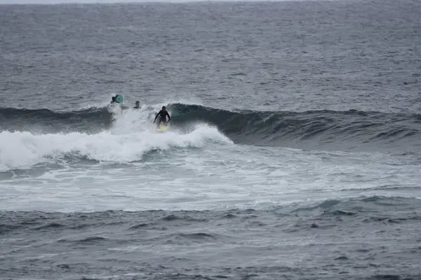 Surfistas Disfrutando Del Mar —  Fotos de Stock