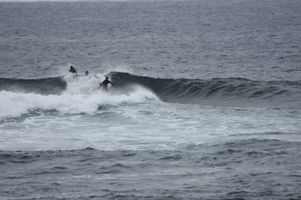 Surfistas Disfrutando Del Mar —  Fotos de Stock