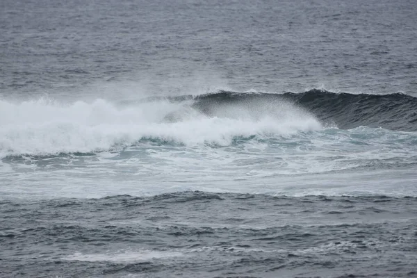 Surfers Enjoying Sea — Stock Photo, Image