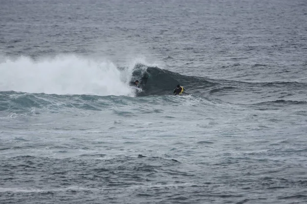 Surfistas Disfrutando Del Mar — Foto de Stock