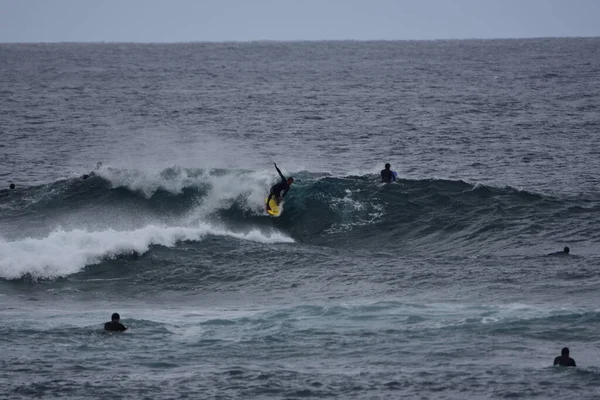 Surfistas Desfrutam Mar — Fotografia de Stock