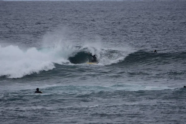 Surfistas Disfrutando Del Mar — Foto de Stock