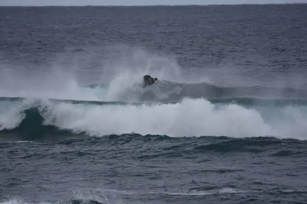 Surfisti Godendo Mare — Foto Stock