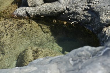 the waves showing their power