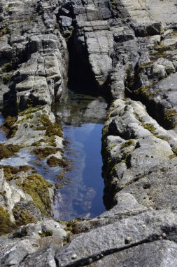 the waves showing their power