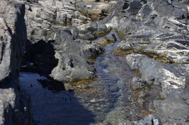 the waves showing their power