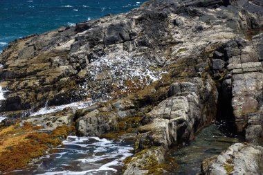 Kayalıklardan denize bakıyorum.