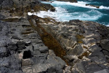 Kayalıklardan denize bakıyorum.