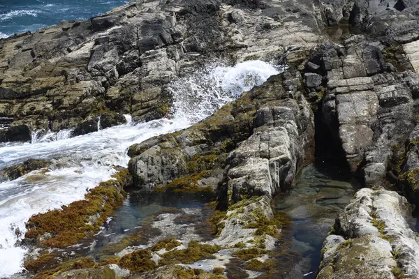 Kayalıklardan denize bakıyorum.