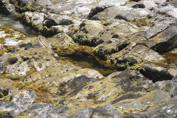 Olhando Para Mar Das Falésias — Fotografia de Stock