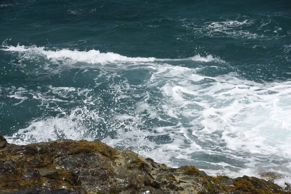 Глядя Море Скал — стоковое фото