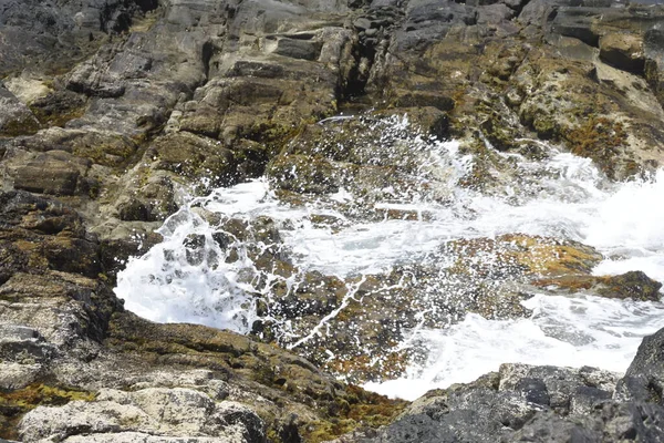 Blick Auf Das Meer Von Den Klippen Aus — Stockfoto