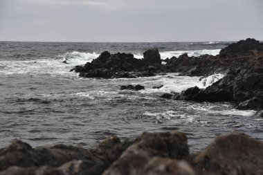 the waves showing their power