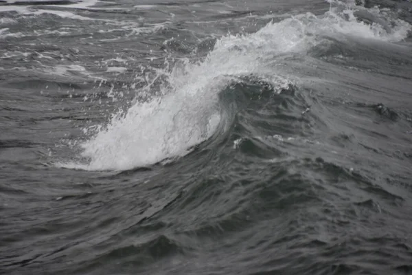 Хвилі Показують Свою Силу — стокове фото