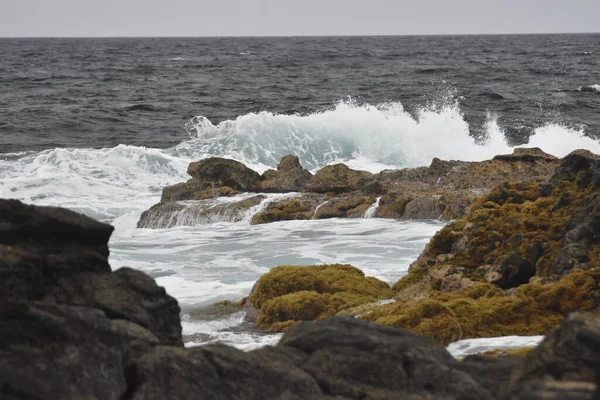 Moře Pobřeží Svými Vlnami Tvary Barvami — Stock fotografie