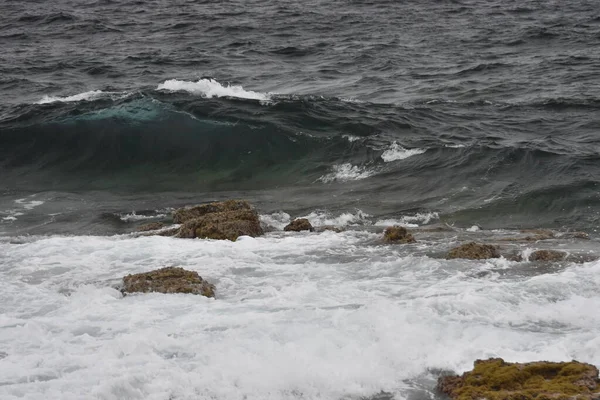 Море Побережье Волнами Цветами Оттенками — стоковое фото