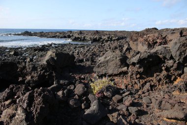 Denize, dalgalara, dağlara.