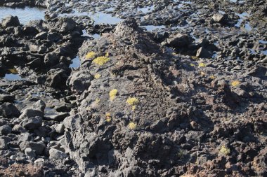 Denize, dalgalara, dağlara.