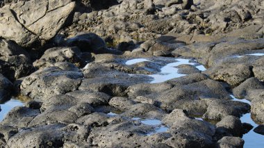 Denize, dalgalara, dağlara.